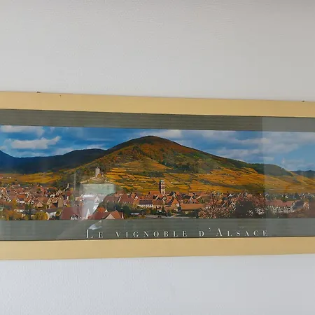 4 Individuels A Prázdninový dům Kaysersberg-Vignoble